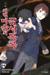 신약 어떤 마술의 금서목록 14 (엔티노벨(NT Novel))